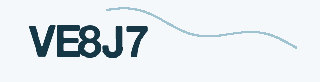 Security code image