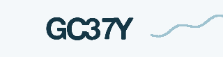 Security code image